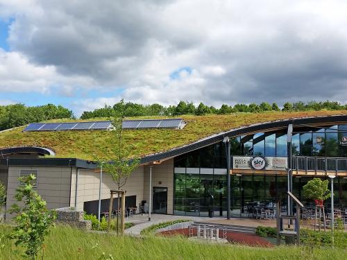 A curving green roof in the shape of a wave